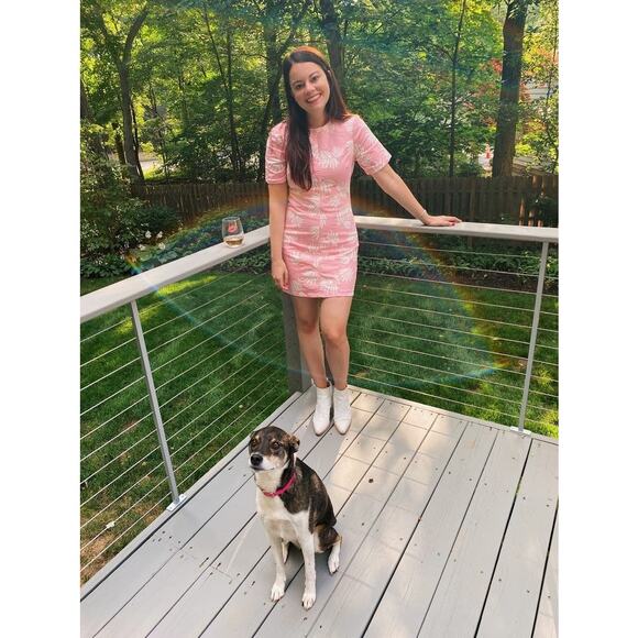 CINQ A SEPT Pink White Tropical Leaves Cotton Blend Phoenix Madison Dress sz 14 - Picture 1 of 13